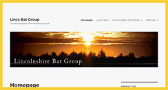 Desktop Screenshot of lincsbatgroup.co.uk